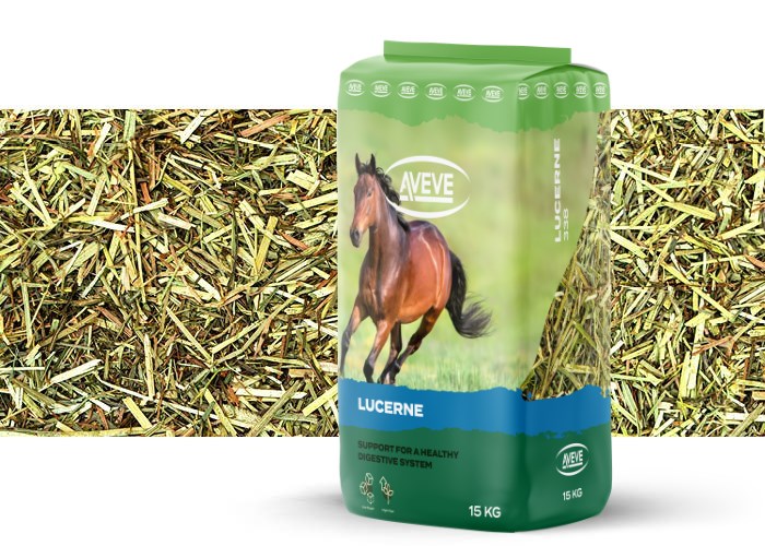 Lucerne