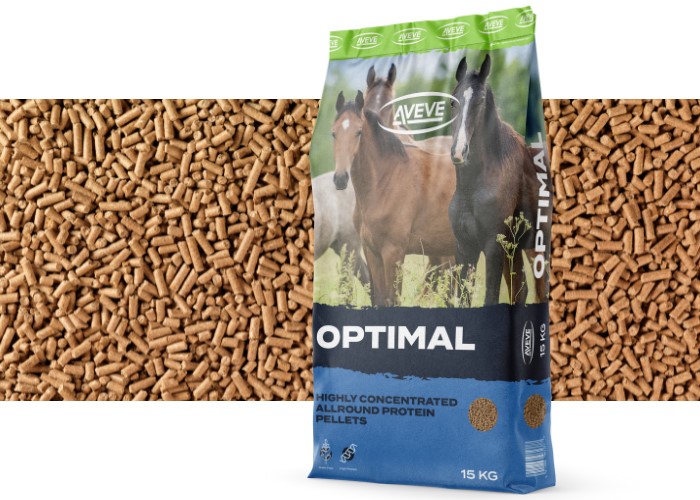 Optimal - 363