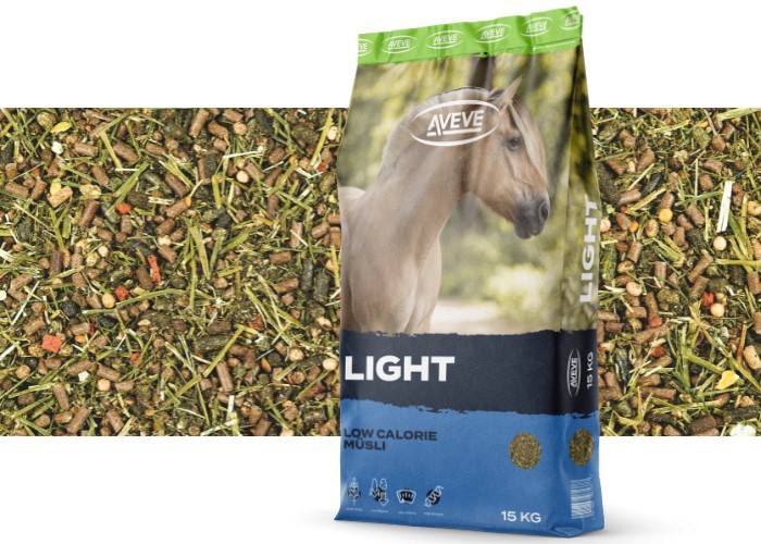 Light - 315