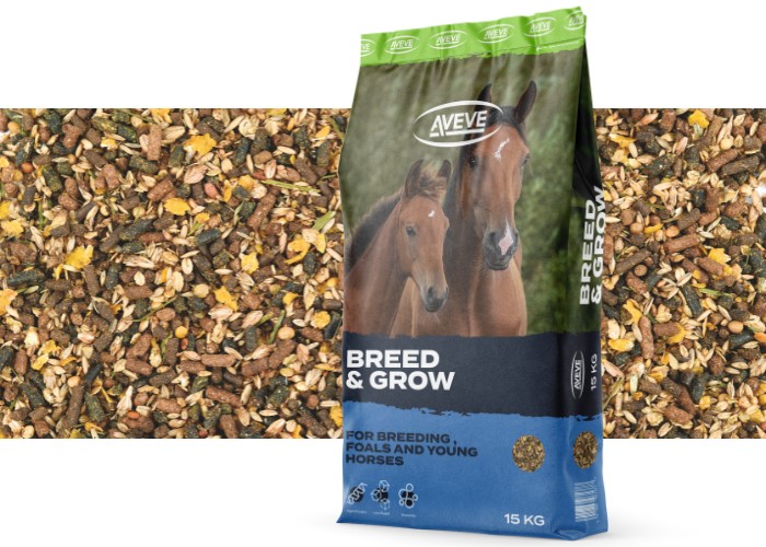 Breed & Grow - 323