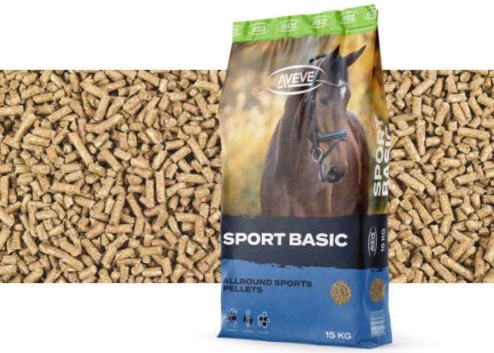 Sport Basic - 322