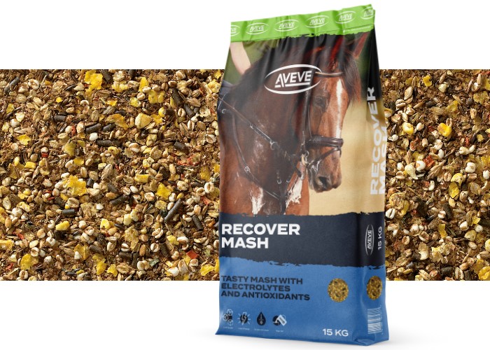 Recover Mash - 314