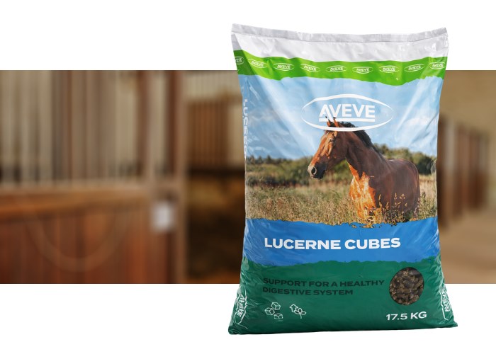 Lucerne Cubes