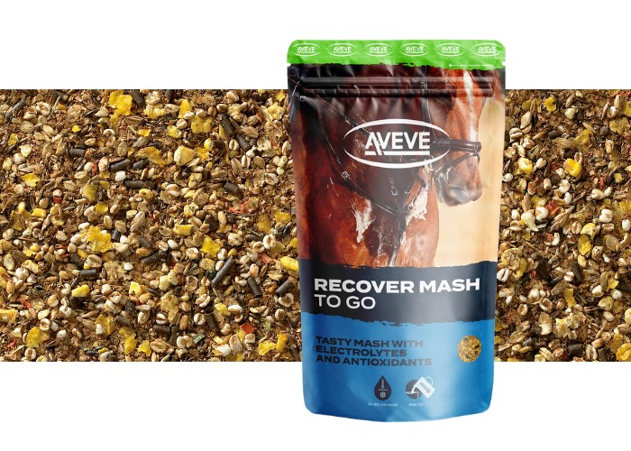 Recover Mash - To Go