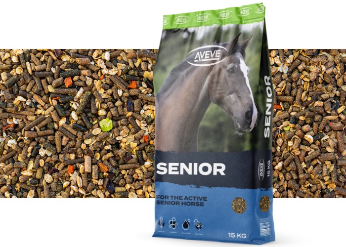 Senior - 354