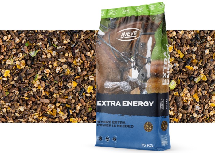 Extra Energy - 321