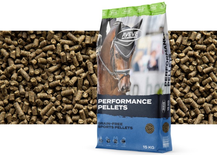 Performance Pellets - 668