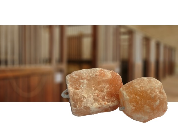 Himalaya Salt Lik